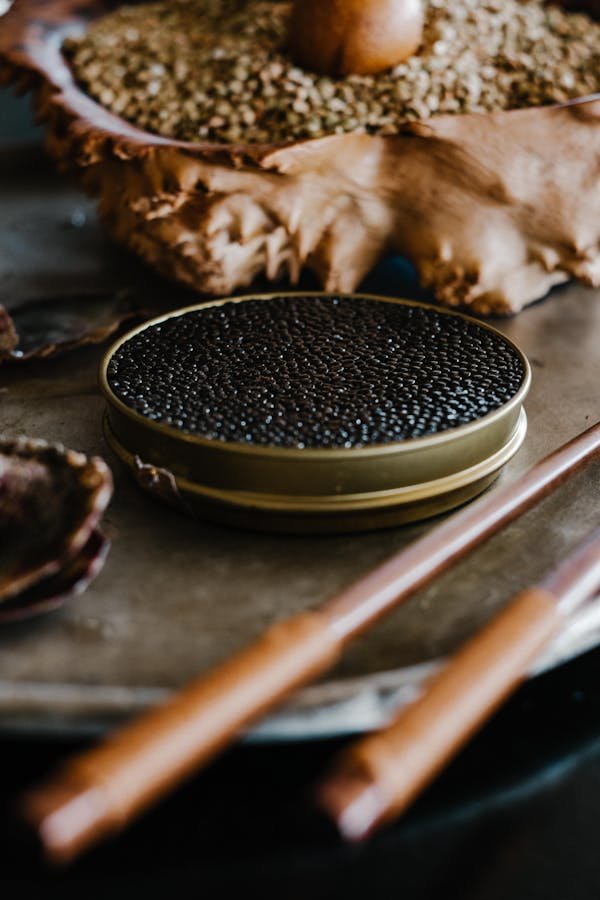 Caviar d'Aquitaine : le joyau des saveurs de Nouvelle-Aquitaine